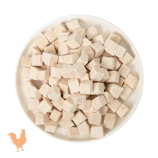 Chicken Training Cubes