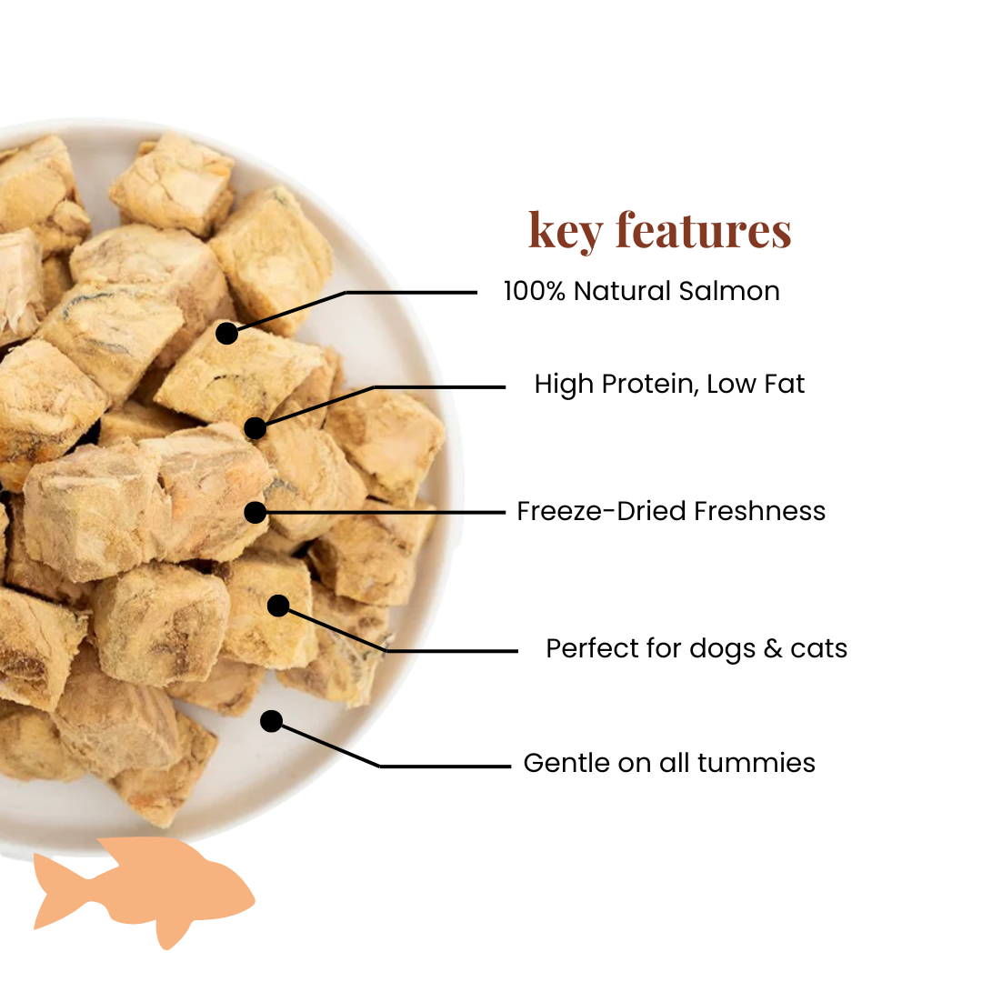 Salmon Training Cubes