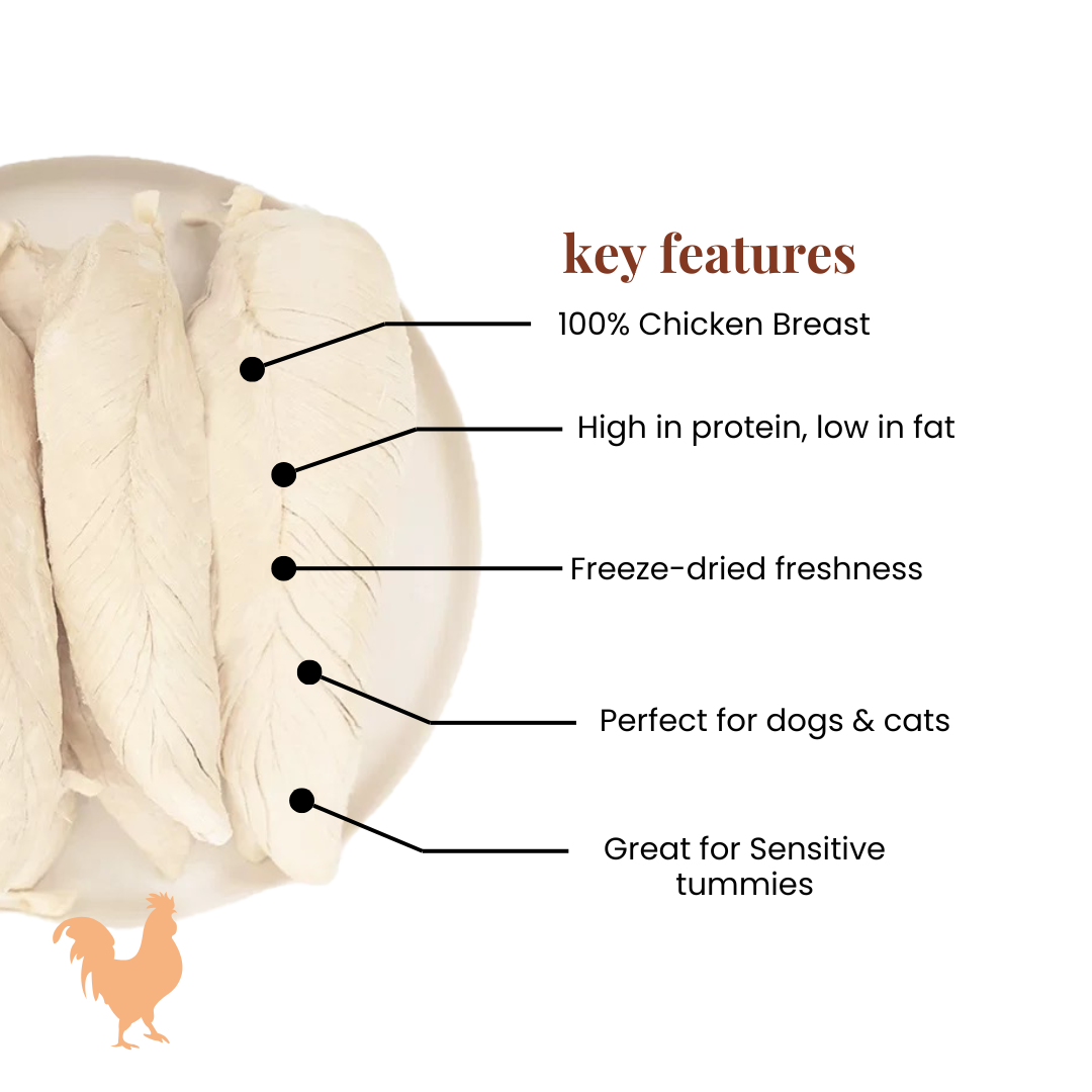 Freeze Dried Chicken Breast