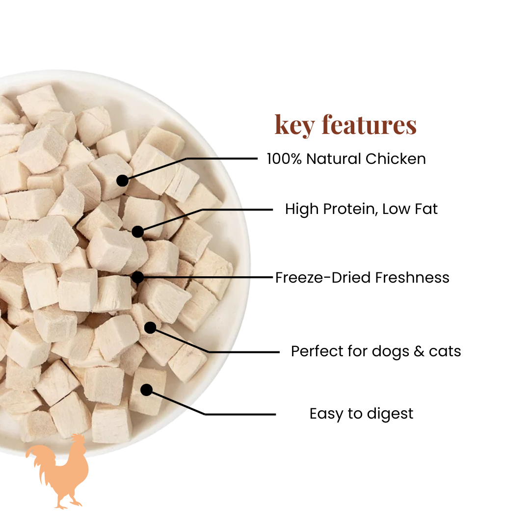 Chicken Training Cubes