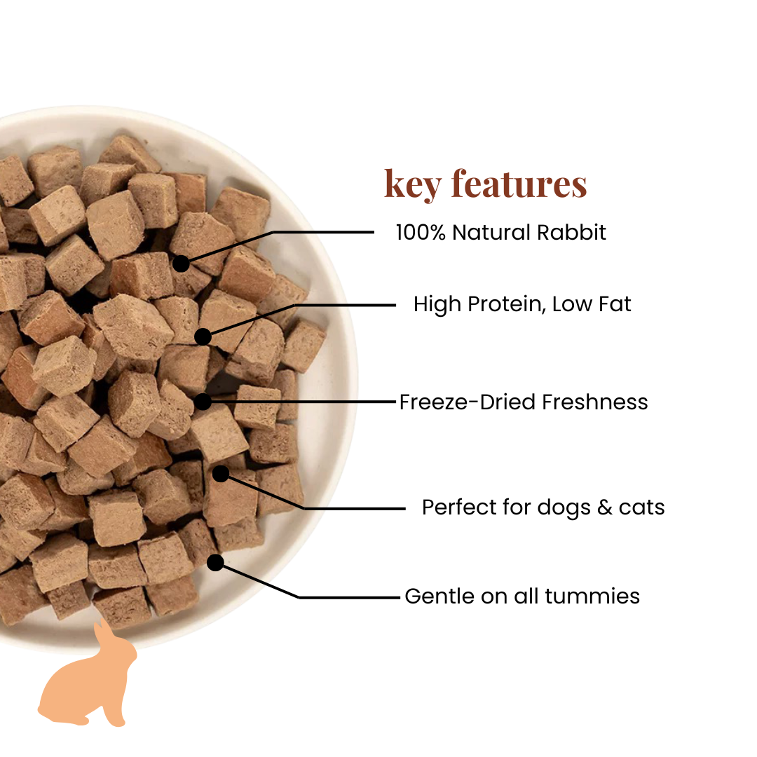 Rabbit Training Cubes