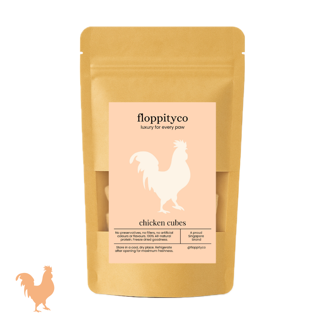 Chicken Training Cubes