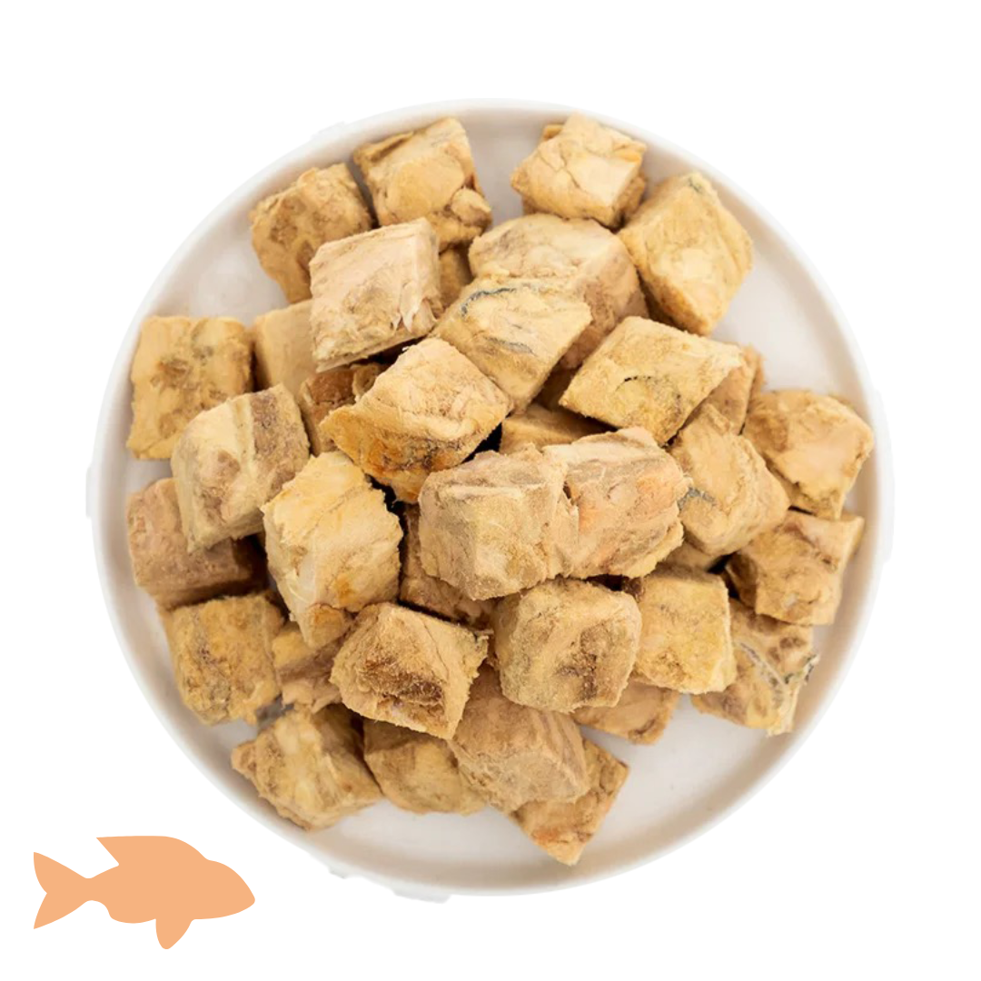 Salmon Training Cubes