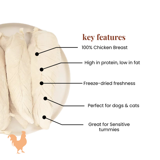 Freeze Dried Chicken Breast