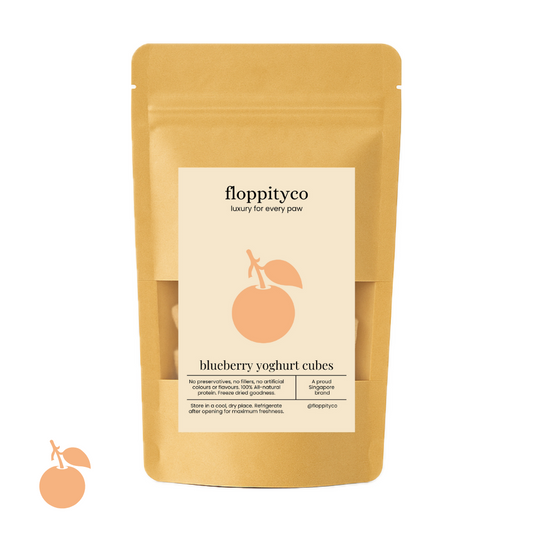 Yoghurt Blueberry Cubes