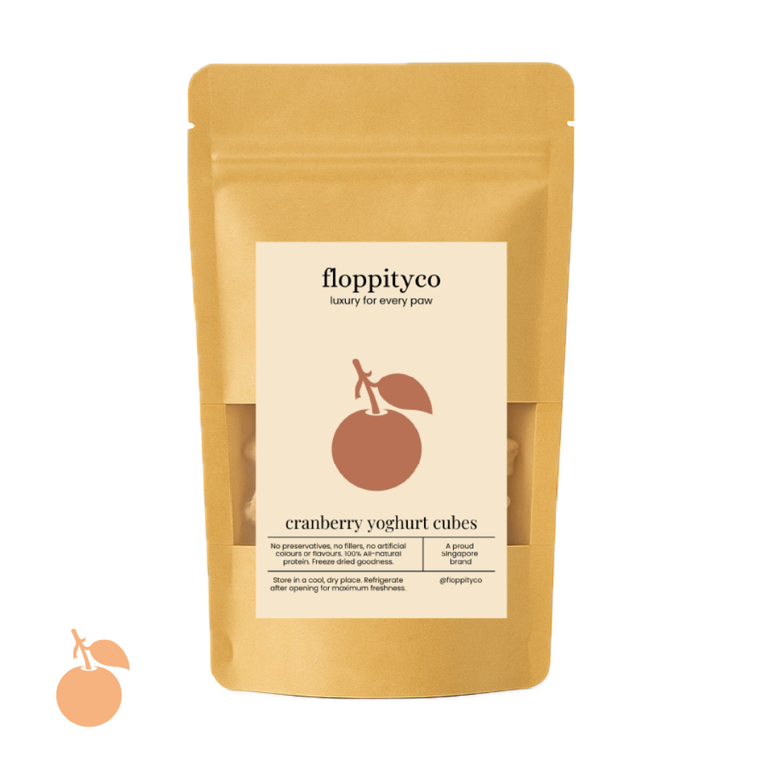 Yoghurt Cranberry Cubes