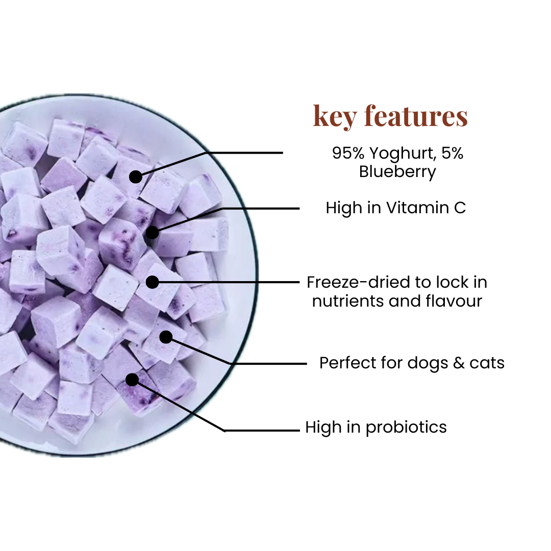 Yoghurt Blueberry Cubes