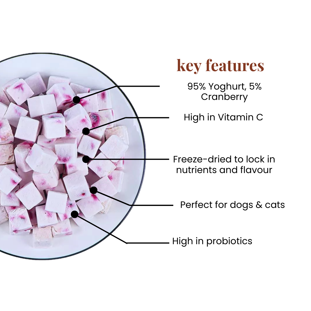 Yoghurt Cranberry Cubes