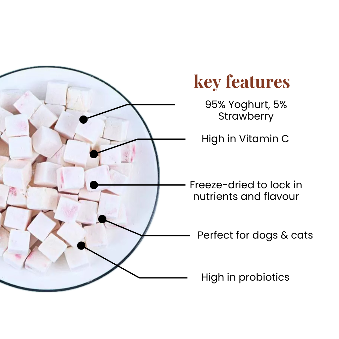 Yoghurt Strawberry Cubes