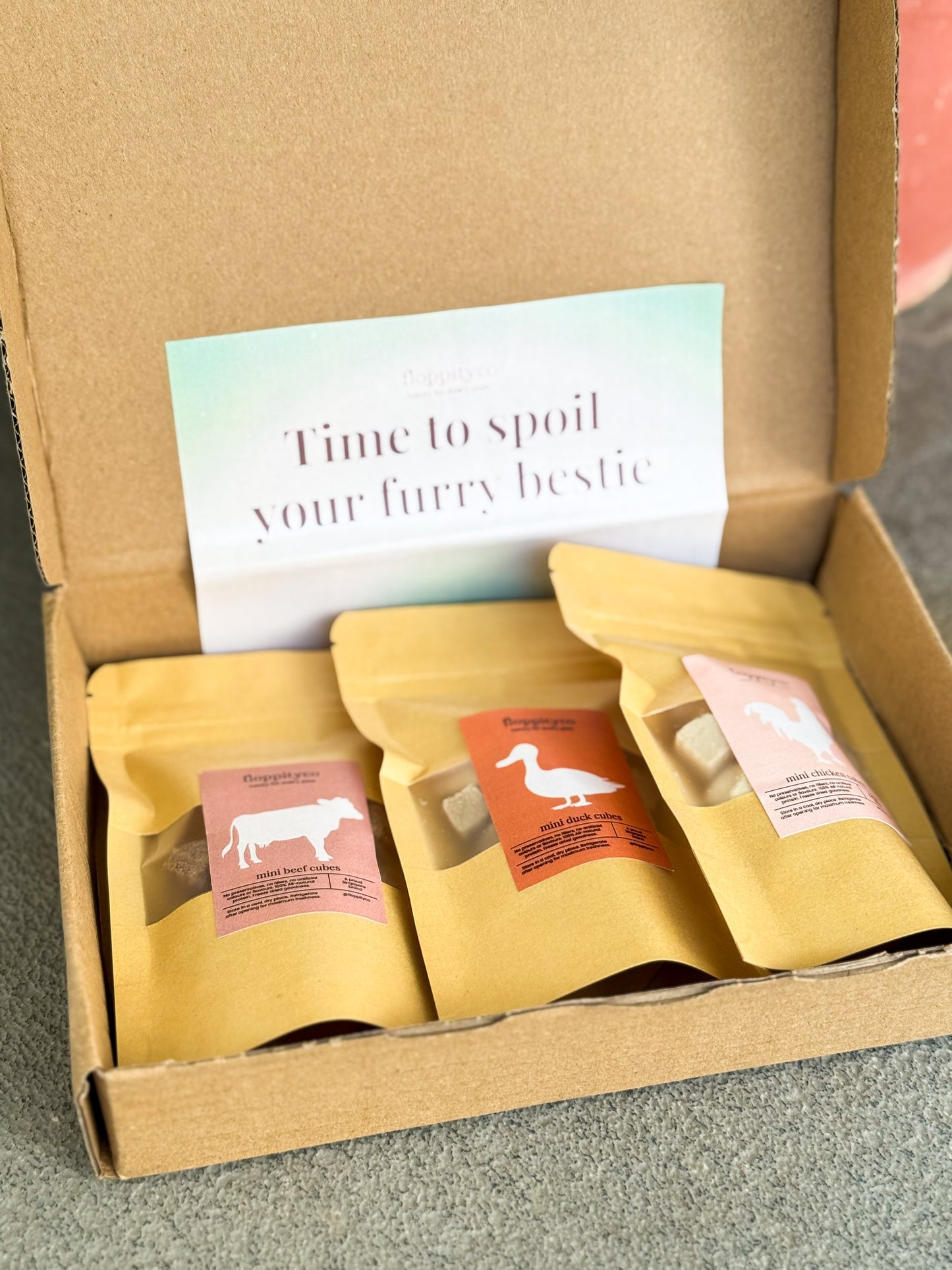 freeze-dried-puppy-treat-box | Floppityco