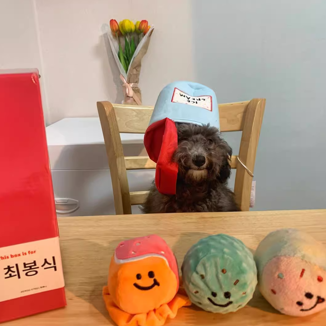 Ice Cream Tub - Nosework Toy