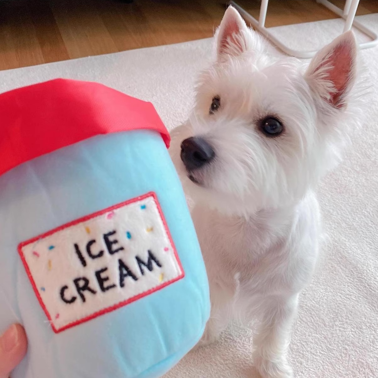Ice Cream Tub - Nosework Toy