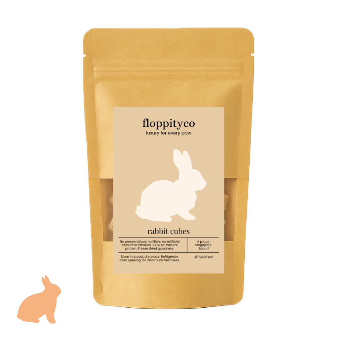 Rabbit Training Cubes