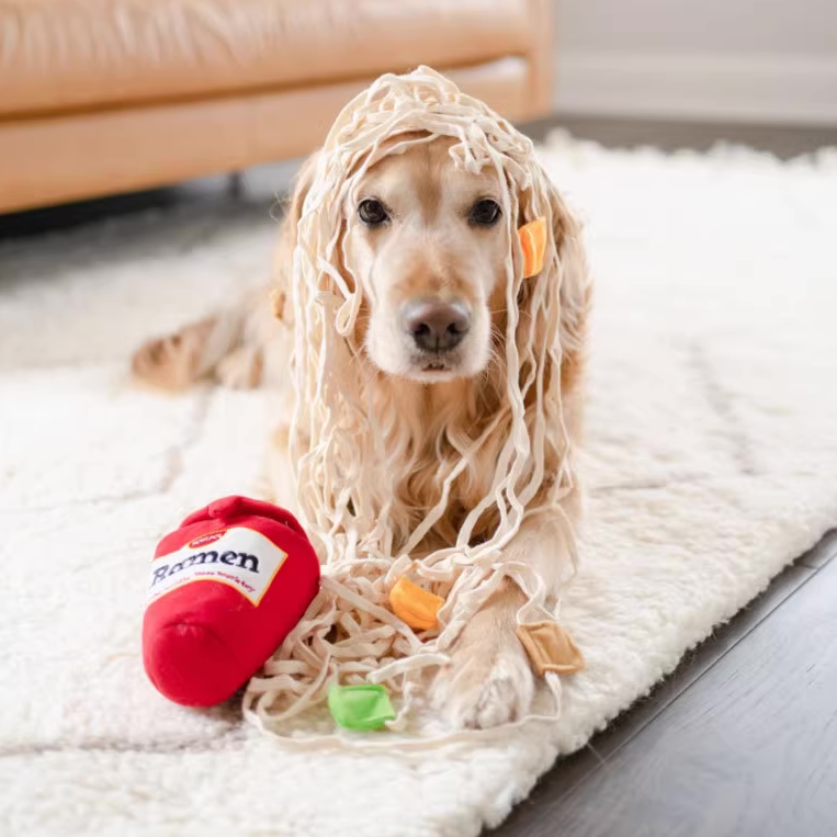 Ramen Cup - Nosework Toy