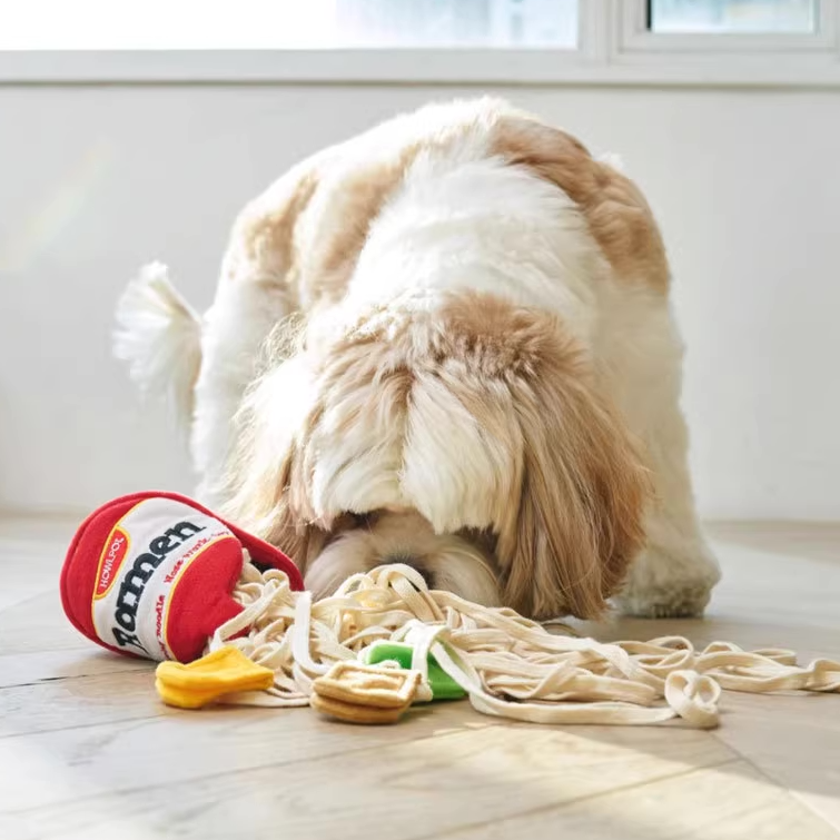 Ramen Cup - Nosework Toy