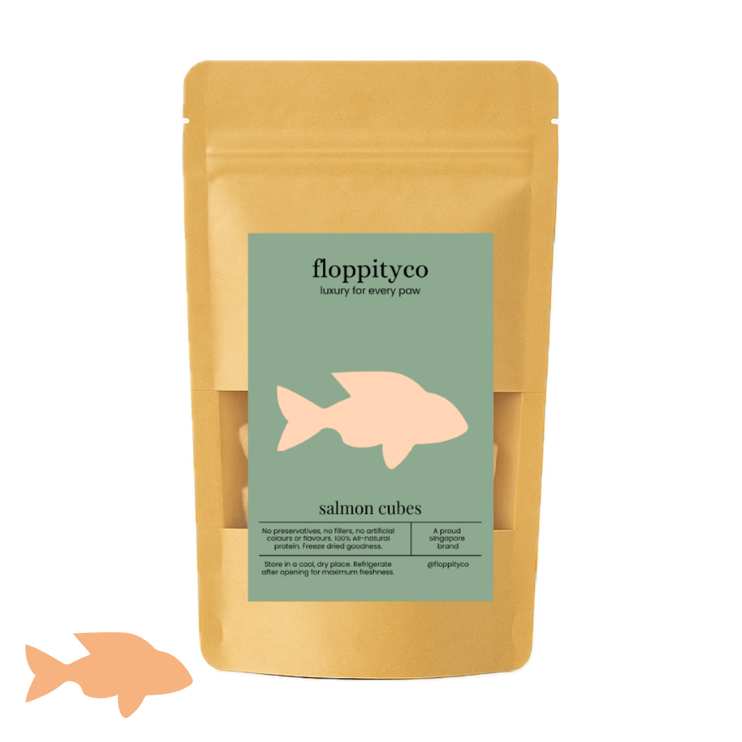 Salmon Training Cubes