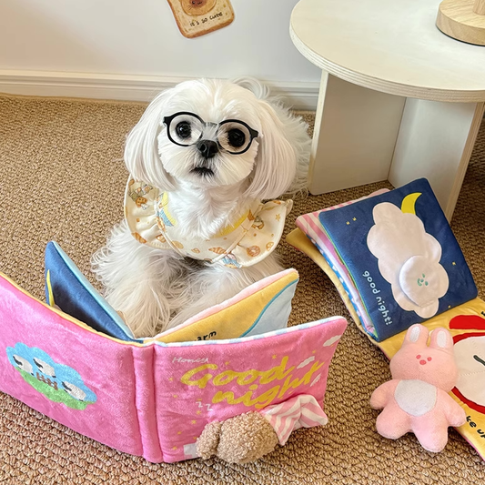 Storybooks - Nosework Toy